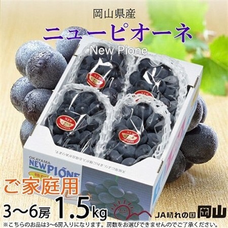 【2026年8月下旬より発送】ご家庭用　岡山県産　ピオーネ　1.5kg(3～6房)【配送不可地域：離島】【1409717】