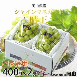 y2025N8蔭\zƒp@RY@VC}XJbg@@400g×2[yzsnFzy1409723z