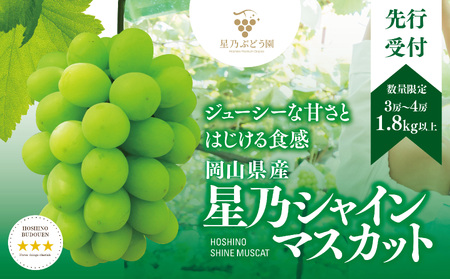 y2026NzTVC}XJbg(RY) 3`4[(1.8kgȏ)yzsnFEkCEꌧzy1418932z