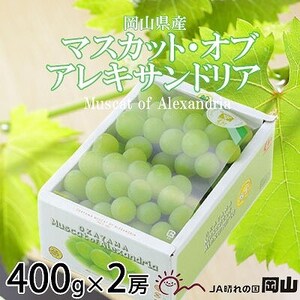 【2025年9月発送】岡山県産　マスカット・オブ・アレキサンドリア　400g×2房【配送不可地域：離島・北海道・沖縄県】【1424422】