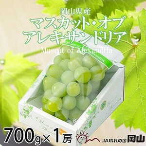 【2025年9月発送】岡山県産　マスカット・オブ・アレキサンドリア　700g×1房【配送不可地域：離島・北海道・沖縄県】【1424426】