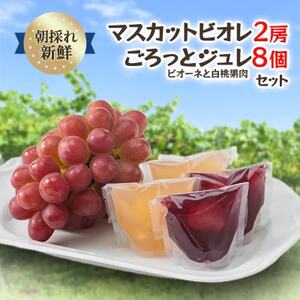 【2025年度発送分】朝採れ新鮮マスカットビオレ2房＆ピオーネと白桃果肉ごろっとジュレセット【配送不可地域：離島・北海道・沖縄県】【1435800】