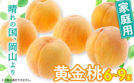 黄金桃(ご家庭用)6～9玉入り　【2026年8月末頃より発送予定】【配送不可地域：離島】【1460796】