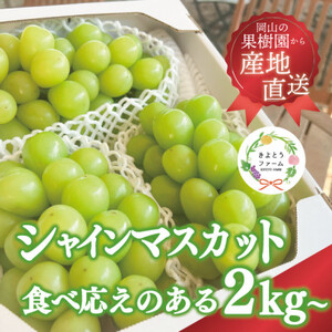 【きよとうファーム】シャインマスカット3-5房/計2kg~(岡山県産)【配送不可地域：離島】【1548980】