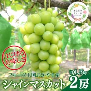 yƂt@[zVC}XJbg 2[/v1.3kg~(RY)yzsnFzy1548991z