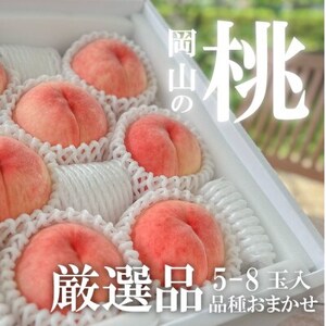 �y2026�N��s�\��z�y���I�i�z�{�̓�(�i�킨�܂���) 5-8�ʓ�(���R���Y)�y�z���s�n��F�����z�y1571586�z