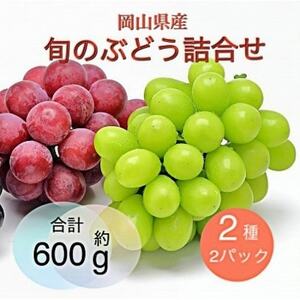 y2025N9菇zRY {̂Ԃǂl 22pbNZbgyzsnFzy1575465z