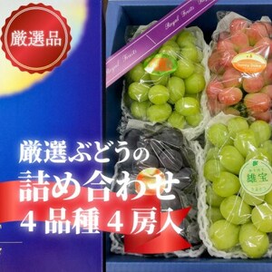 [きよとうファーム][厳選品]ぶどう4品種 4房入 リズムボックス(岡山県産)[配送不可地域:離島]
