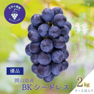岡山 花笑み農園の『BKシードレス』2kg(3〜5房)優品 B-2優[2025年9月中旬〜順次発送][配送不可地域:離島・北海道・沖縄県]
