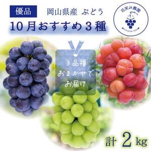 岡山 花笑み農園のブドウ『10月おすすめ 3種』約2kg(3房)優品 3M-2L優[10月〜発送][配送不可地域:離島・北海道・沖縄県]