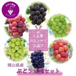 岡山 花笑み農園のブドウ『食べ比べ6種セット』 6M-5 [9月下旬〜順次発送][配送不可地域:離島・北海道・沖縄県]