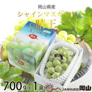 y2025N8菇zRY@VC}XJbg@@700g×1[yzsnFzy1603766z
