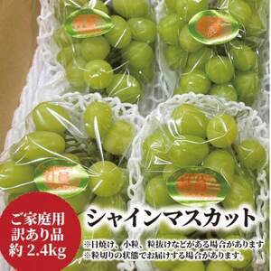 【きよとうファーム】訳あり品 シャインマスカット/約2.4kg(岡山県産)【配送不可地域：離島】【1602735】