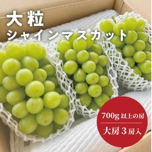 [きよとうファーム]大粒で大房のシャインマスカット 大サイズ3房入 各700g〜(岡山県産)[配送不可地域:離島]