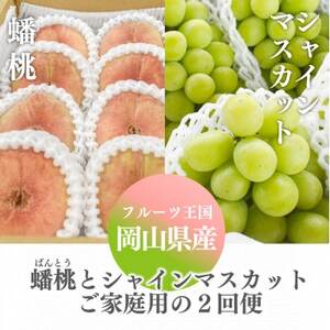 【発送月固定定期便】【きよとうファーム】蟠桃とシャインマスカットのご家庭用を岡山から産地直送全2回【配送不可地域：離島】【4065821】