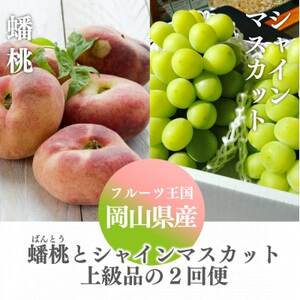【発送月固定定期便】【きよとうファーム】蟠桃とシャインマスカットの上級品を岡山から産地直送全2回【配送不可地域：離島】【4065825】