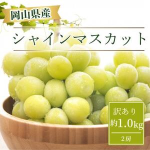 [2025年9月より発送]訳あり家庭用 岡山県産 シャインマスカット 1.0kg以上(2房)[配送不可地域:離島]