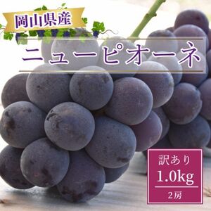 [2025年8月より発送]訳あり家庭用 岡山県産ニューピオーネ1.0kg以上(2房)[配送不可地域:離島]