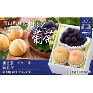 桃・ピオーネ詰合せ(白桃晩生種2玉・ニューピオーネ1房) 合計約1.0kg[配送不可地域:離島]