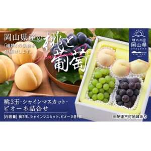 白桃(晩生種)3玉・シャインマスカット1房・ニューピオーネ1房詰合せ 合計約1.8kg[配送不可地域:離島]