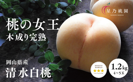 [清水白桃]岡山県産 三つ星 星乃桃園 1.2kg (4〜5玉)[配送不可地域:離島・北海道・沖縄県]