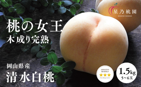 先行受付[清水白桃]岡山県産 三つ星 星乃桃園 1.5kg (5〜6玉)[配送不可地域:離島・北海道・沖縄県]