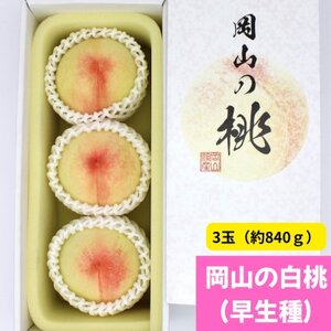 岡山の白桃(早生種) 大玉3玉(約840g)[配送不可地域:離島]