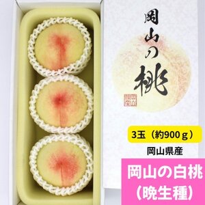 岡山の白桃(晩生種) 大玉3玉(約900g)[配送不可地域:離島]