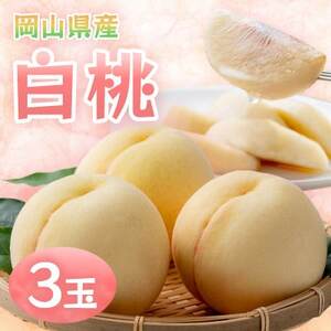 岡山県産白桃 3玉・約800g(クール便)[配送不可地域:離島]