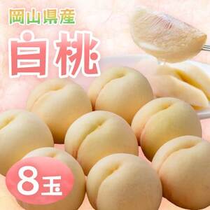【2026年発送】岡山県産白桃　8玉・約2.0kg(クール便)【配送不可地域：離島】【1614349】