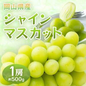 岡山県産シャインマスカット 1房・約500g(クール便)[配送不可地域:離島]