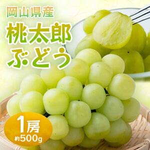 岡山県産桃太郎ぶどう 1房・約500g(クール便)[配送不可地域:離島]