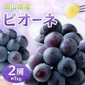 岡山県産ピオーネ 約1kg(約500g×2房)[配送不可地域:離島]