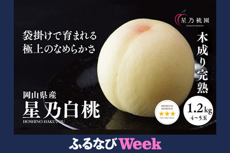 [ふるなびWEEK対象]先行受付[星乃白桃]岡山県の桃園からお届けする三つ星の桃 1.2kg (4〜5玉) FN-Limited[配送不可地域:離島・北海道・沖縄県]