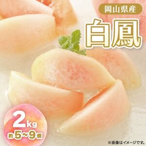 y2026Ns\z2026N7{蔭\ER̔EP(2kg)yzsnFzy1479360z