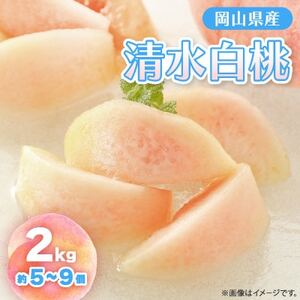 y2026Ns\z2026N7{蔭\ER̔E(2kg)yzsnFzy1484602z