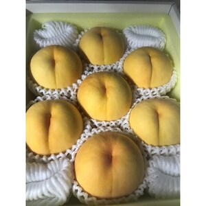 y2026Ns\z8{蔭\ERYE}S[̗lȉFE(2kg)yzsnFzy1484604z