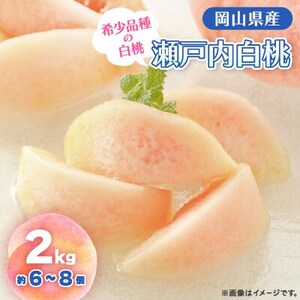 [2025年先行予約]2025年8月下旬頃より発送予定・岡山の白桃・瀬戸内(2kg箱)[配送不可地域:離島]