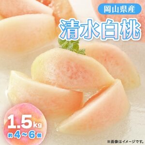 y2026Ns\z2026N7{蔭\ER̔E(1.5kg)yzsnFzy1579311z