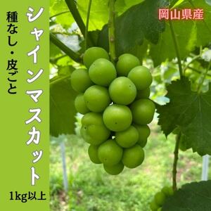 [2025年先行受付]岡山のぶどう(シャインマスカット)1kg以上(2房)[配送不可地域:離島]