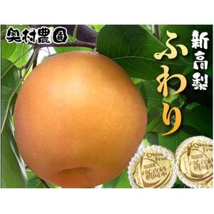 [2025年9月中旬より順次発送]新高梨 ふわり 2玉[配送不可地域:離島]