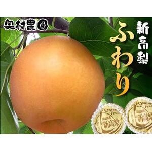 [2026年9月中旬より順次発送] 新高梨 ふわり(6玉入り)[配送不可地域:離島]
