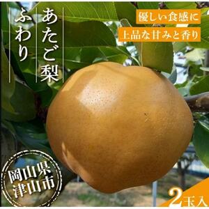 2025N11{菇\@ ӂ(2ʓ)y1619642z