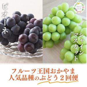 [発送月固定定期便][きよとうファーム]ピオーネとシャインマスカット大2房の定期便(岡山県産)全2回[配送不可地域:離島]