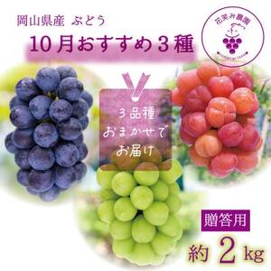 岡山 花笑み農園のブドウ『10月おすすめ3種セット』(3房)贈答用 3M-2L上[10月〜順次発送][配送不可地域:離島]