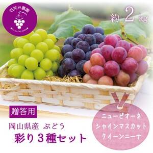 岡山 花笑み農園『彩り3種セット』(シャイン、クイーンニーナ、ピオーネ)(3房) 贈答用 3M-2上[配送不可地域:離島]