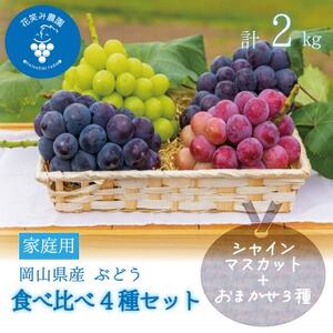 岡山 花笑み農園の『食べ比べ4種セット』シャイン入り(4房)家庭用 4M-2家[9月中旬〜順次発送][配送不可地域:離島]
