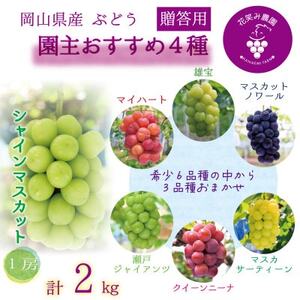 岡山 花笑み農園の『園主おすすめぶどう4種セット』(4房)贈答用 4M-2R上[9月下旬〜順次発送][配送不可地域:離島]
