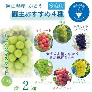 岡山 花笑み農園の『園主おすすめぶどう4種セット』(4房)家庭用 4M-2R家[9月下旬〜順次発送][配送不可地域:離島]