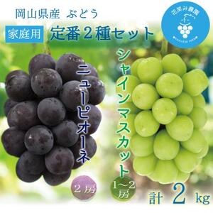 岡山 花笑み農園『ニューピオーネ&シャインマスカット』家庭用 約2kg PS-2 9月中旬〜順次発送[配送不可地域:離島]